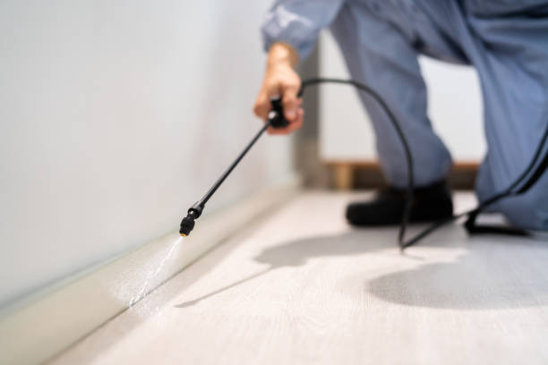 Professional exterminator conducting IPM assessment in Breckenridge